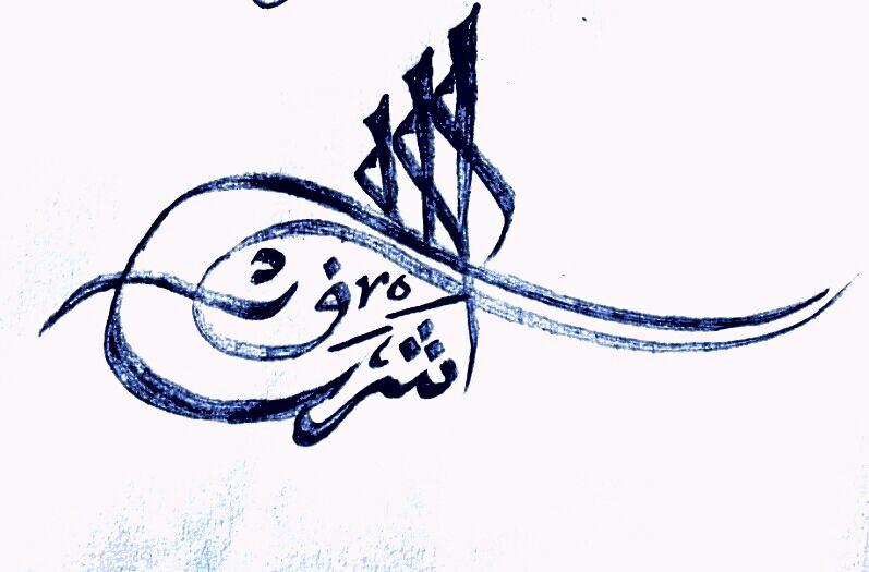 esrefsari21's profile banner image