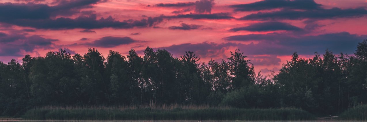 partrdgsvrr's profile banner image