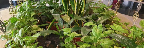 IshyoFoods Profile Banner