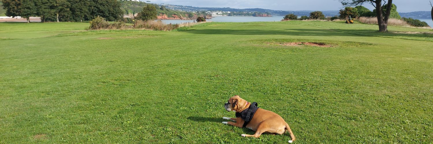 milliebtheboxer's profile banner image