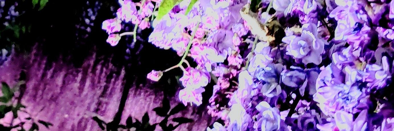 lagi1210's profile banner image