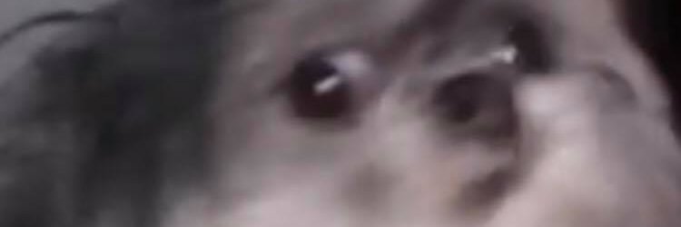 elektr0_tv's profile banner image
