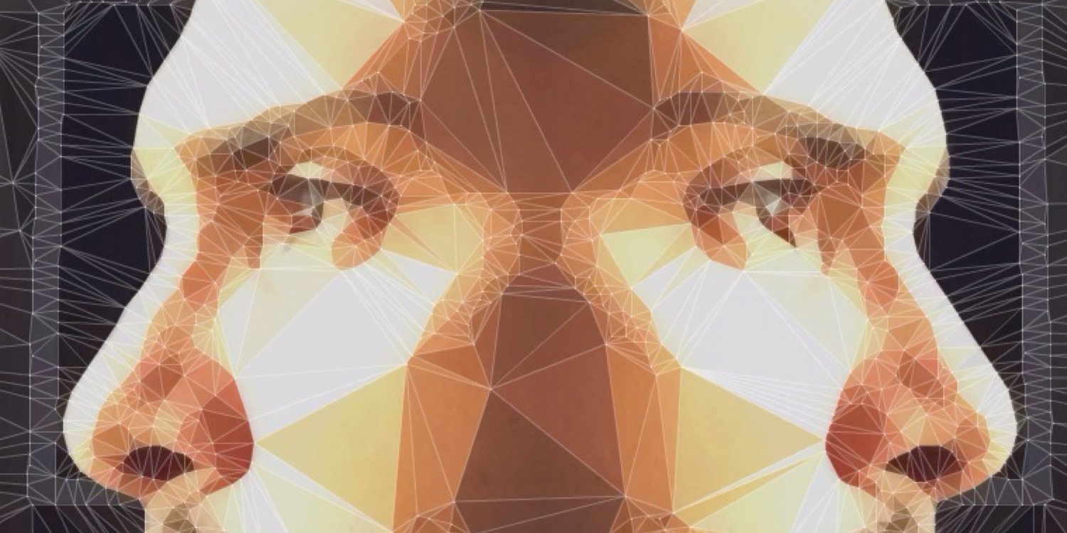 Daniel Revette banner