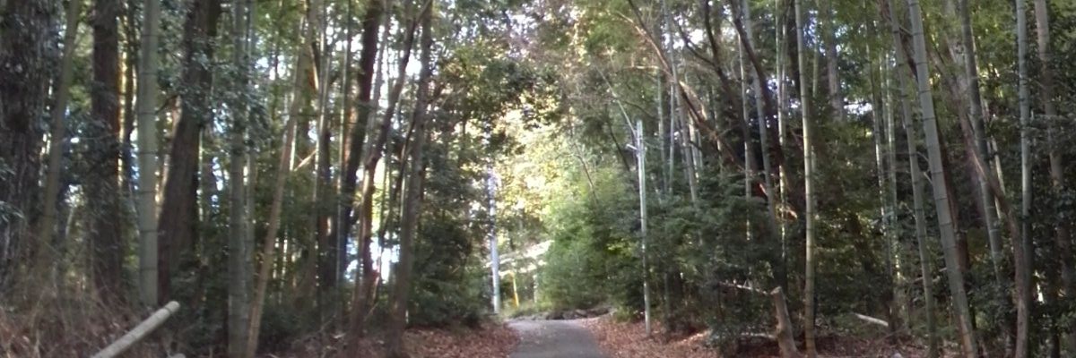tokage_3's profile banner image