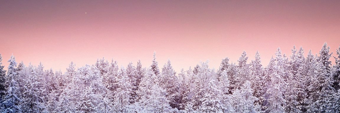 df_op_o's profile banner image