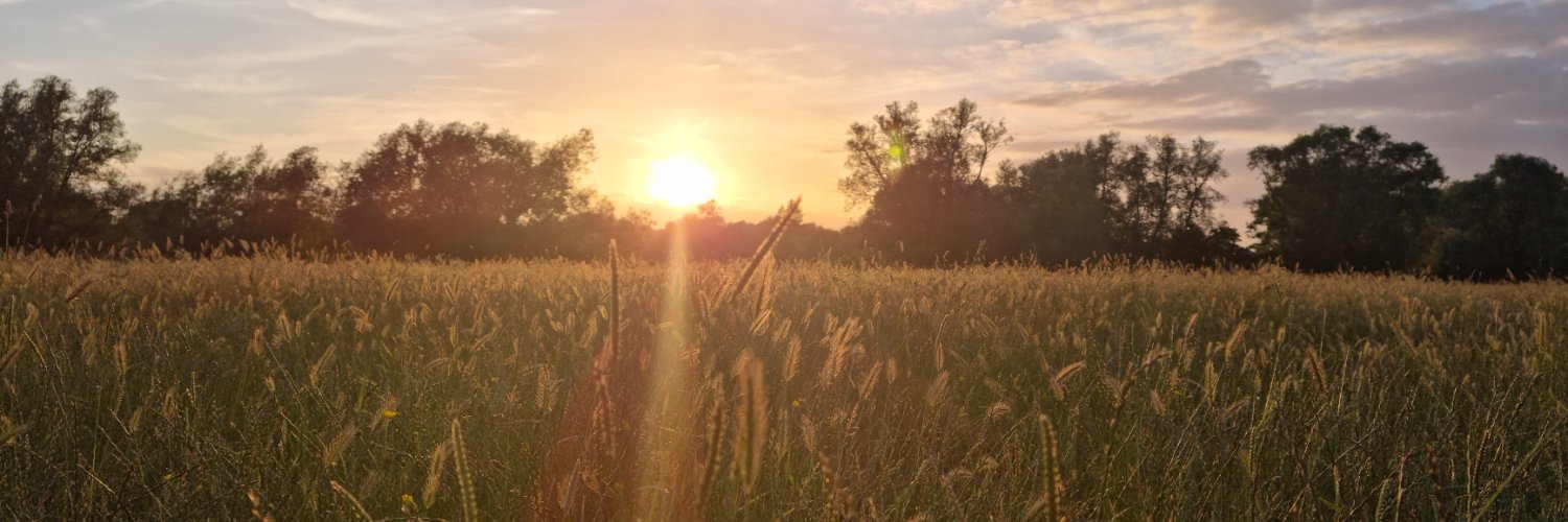 Little Earth Project banner