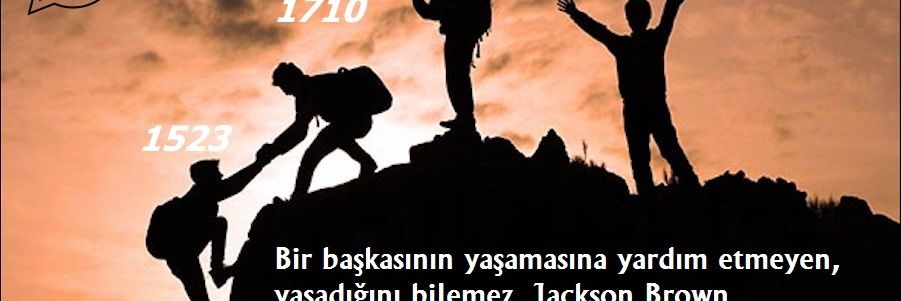 hayalistone's profile banner image