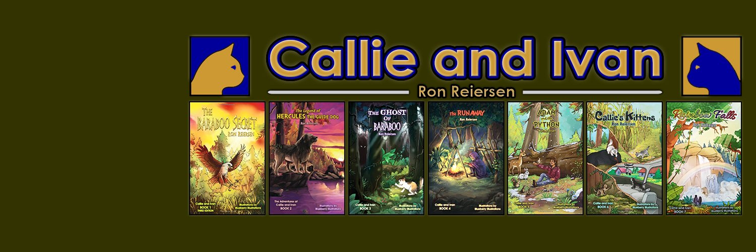 CallieandIvan's profile banner image