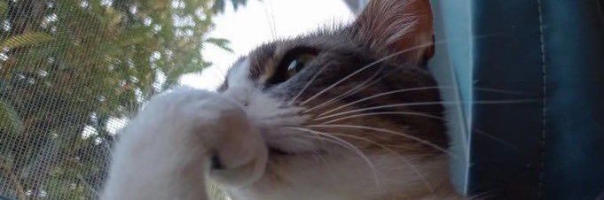 fundaverep_'s profile banner image