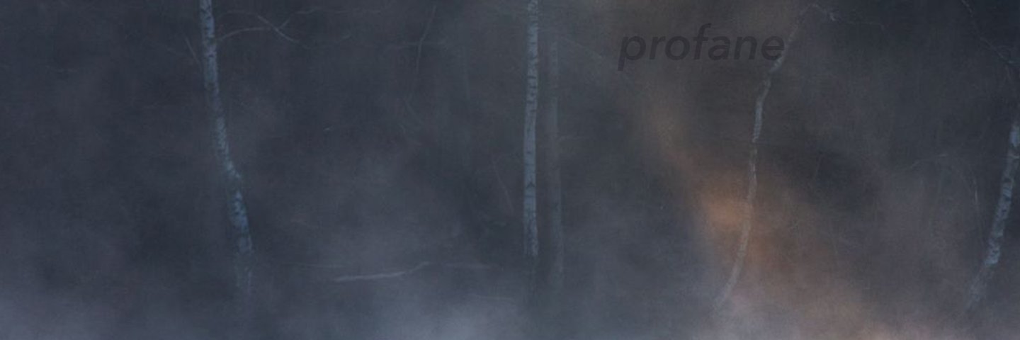 dansmacoquille's profile banner image