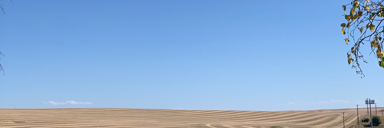 _micahedwards's profile banner image