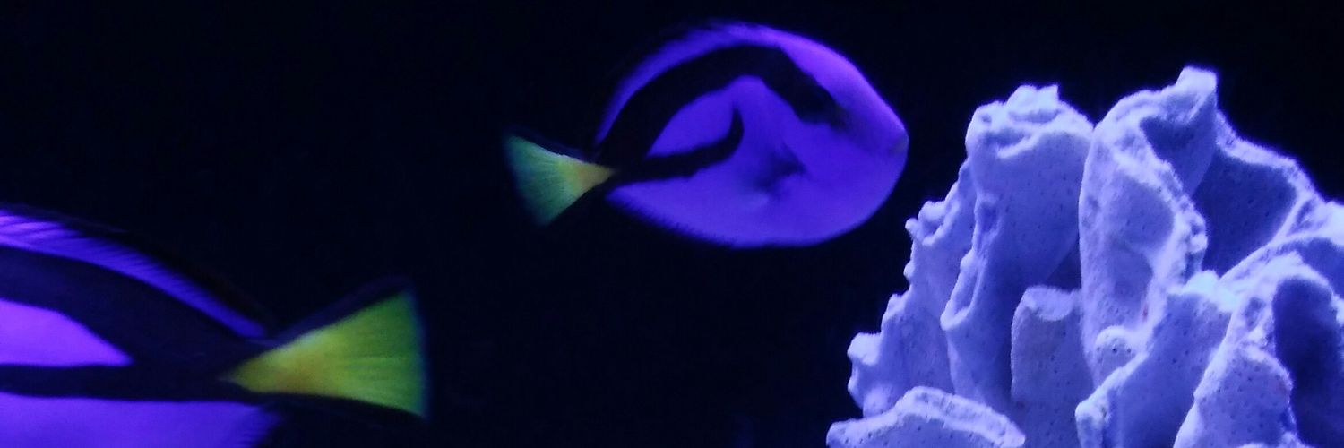 moppusaikou's profile banner image