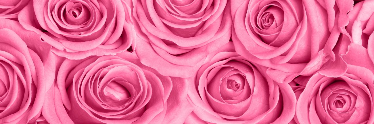 ErikaMacia's profile banner image