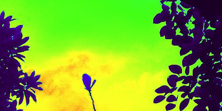 BangDawai's profile banner image