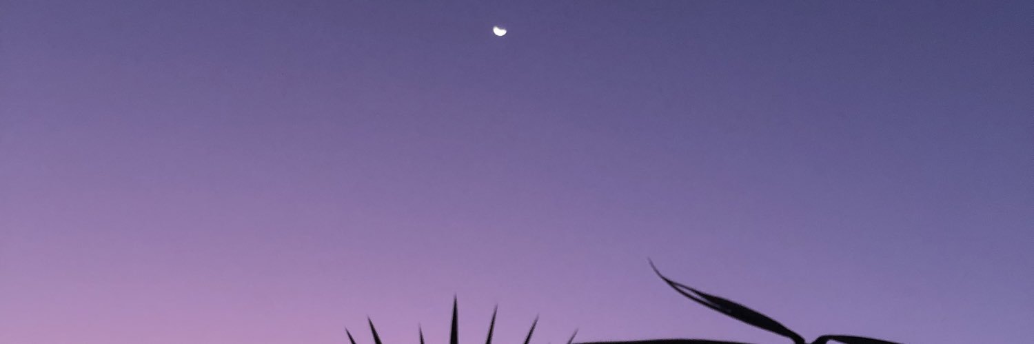 fiore_flagiello's profile banner image