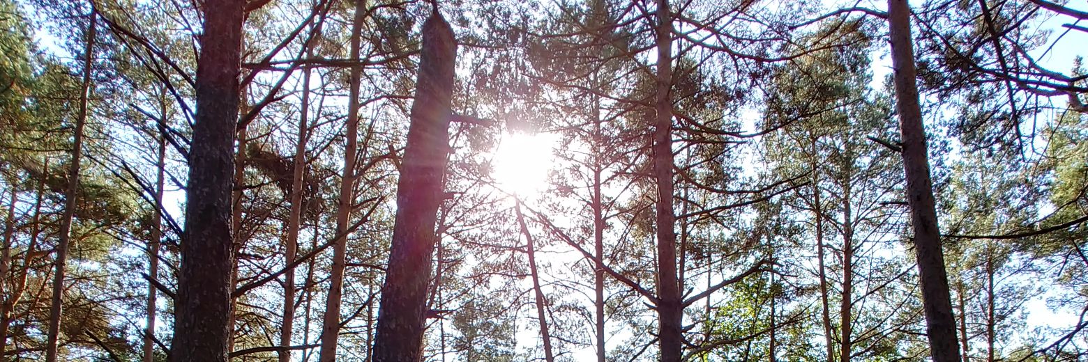 EnricBda's profile banner image