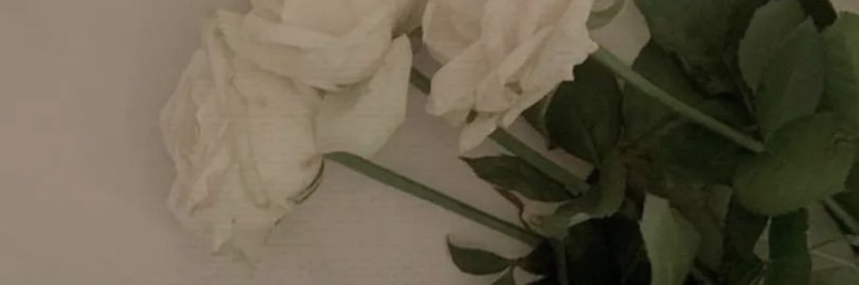u_30_'s profile banner image