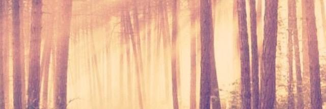 Wisdom4Good's profile banner image