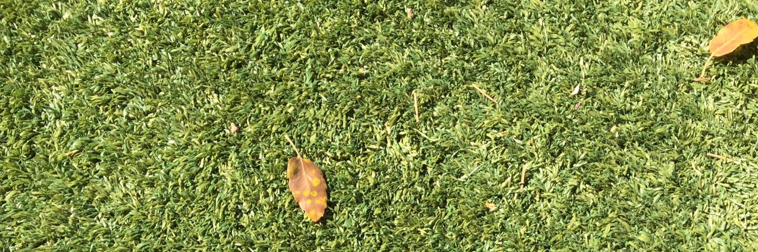 kitbroussard's profile banner image