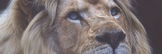 MfItsValeBanks's profile banner image