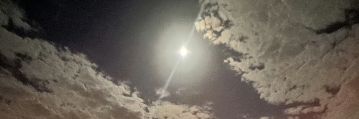 e9ilx's profile banner image
