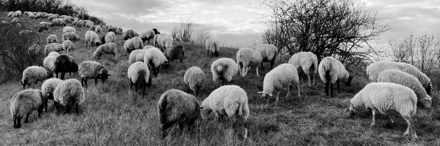 Judith Random 🫧 banner