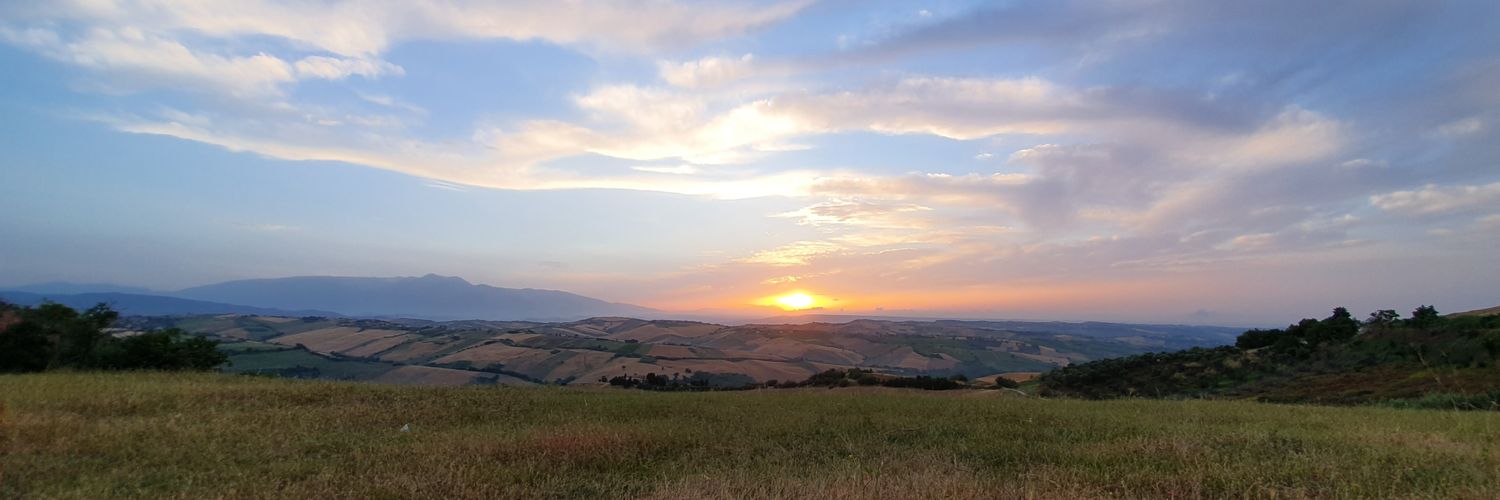 MMonachetti's profile banner image