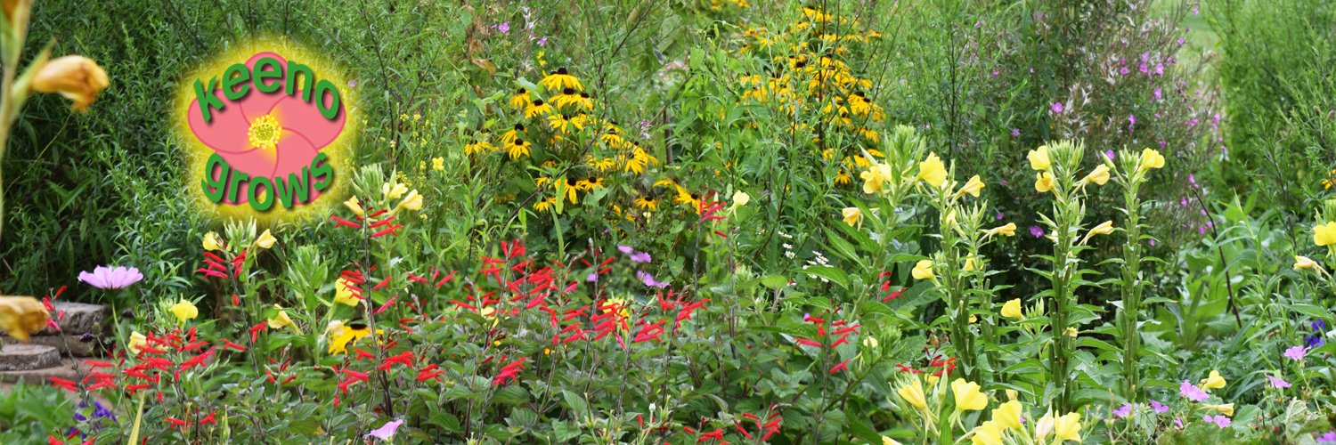 Luke Keeno 🇺🇦 banner