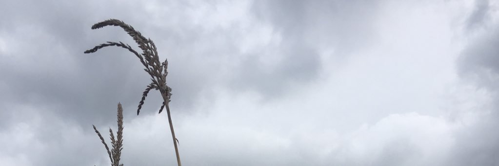 Pattahsee's profile banner image