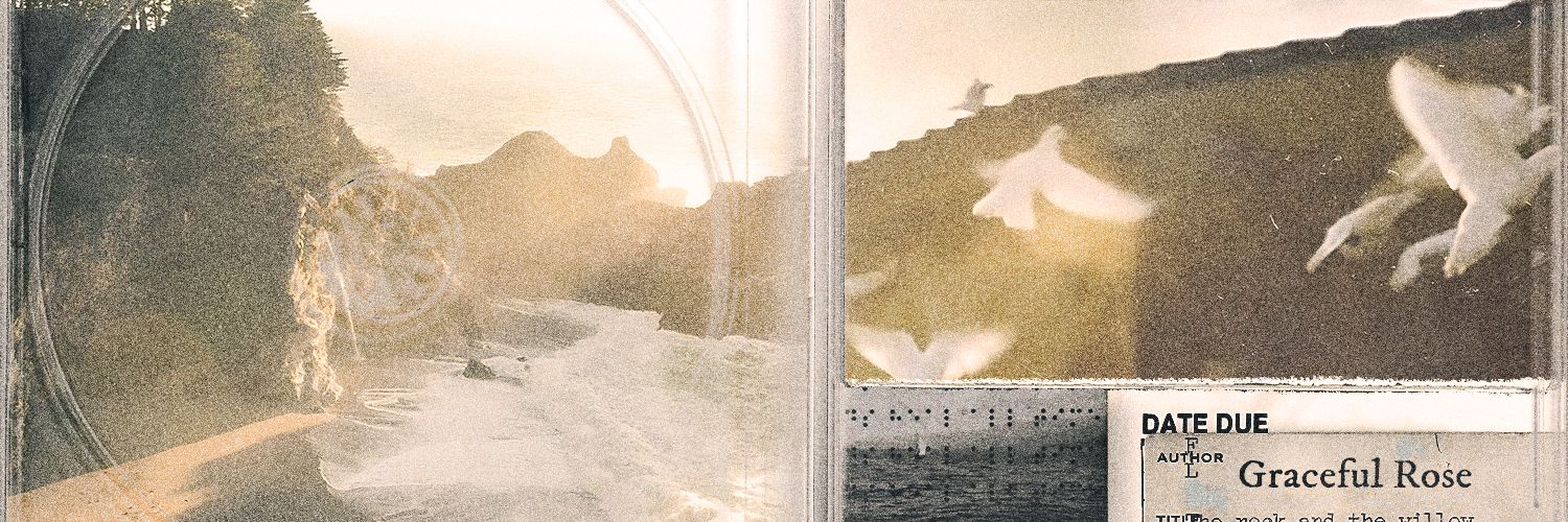 𐙚꯭ ֗ ˳ banner