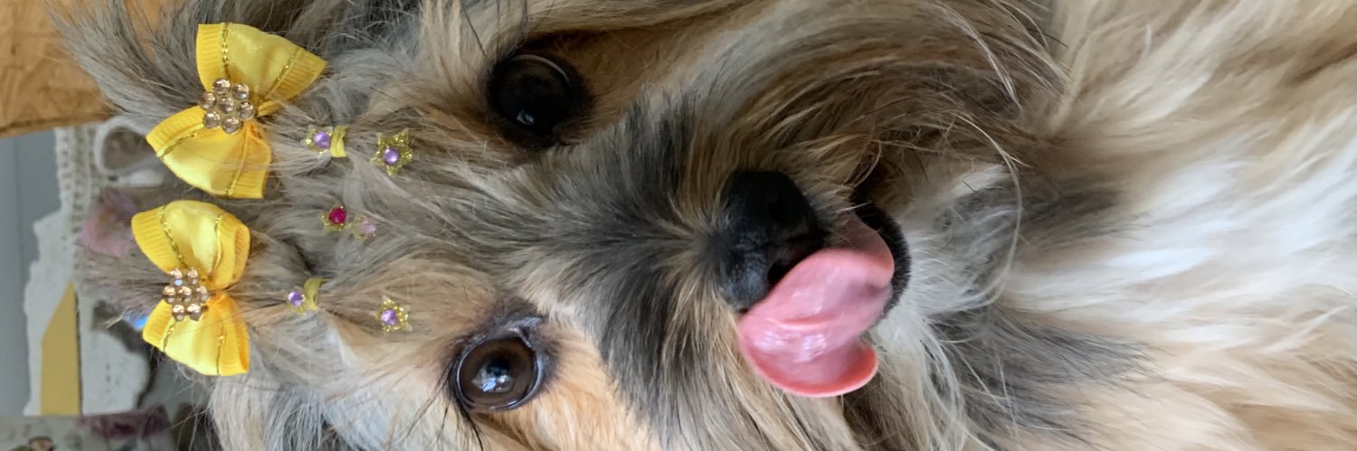 anabbarbaceli's profile banner image