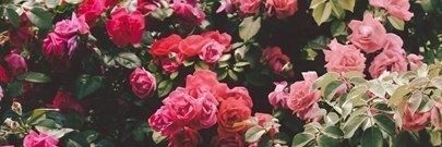 ViPodolyanko030's profile banner image