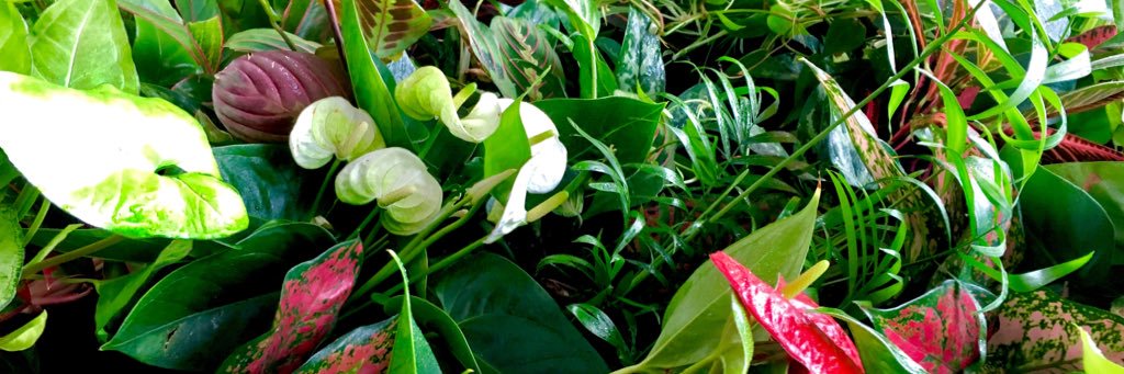 GreenMattersUK's profile banner image