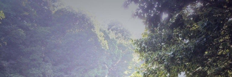 mthcm's profile banner image