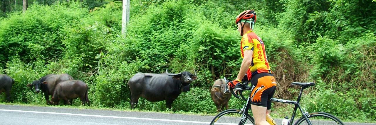 CycleTripAsia's profile banner image