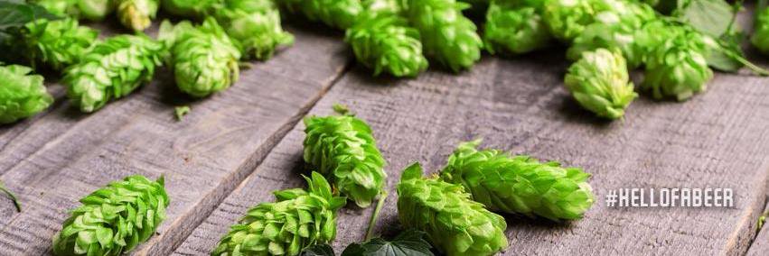 Hell's Basement Brewery banner