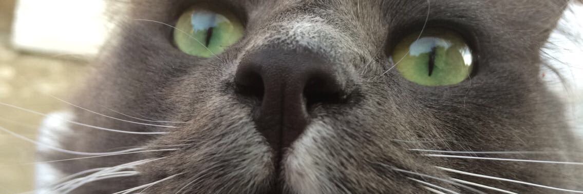 lindieclem's profile banner image
