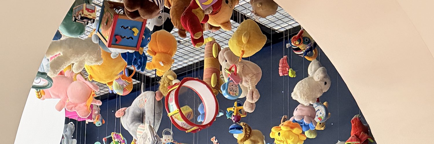 SR banner