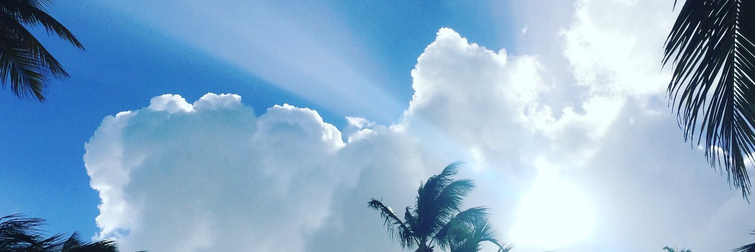 TLReidCHRL's profile banner image