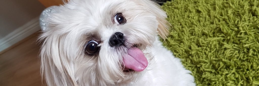 imahodson's profile banner image