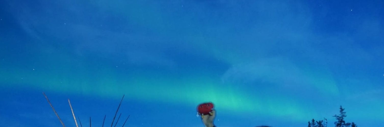 マイクロー@色々行きたい banner