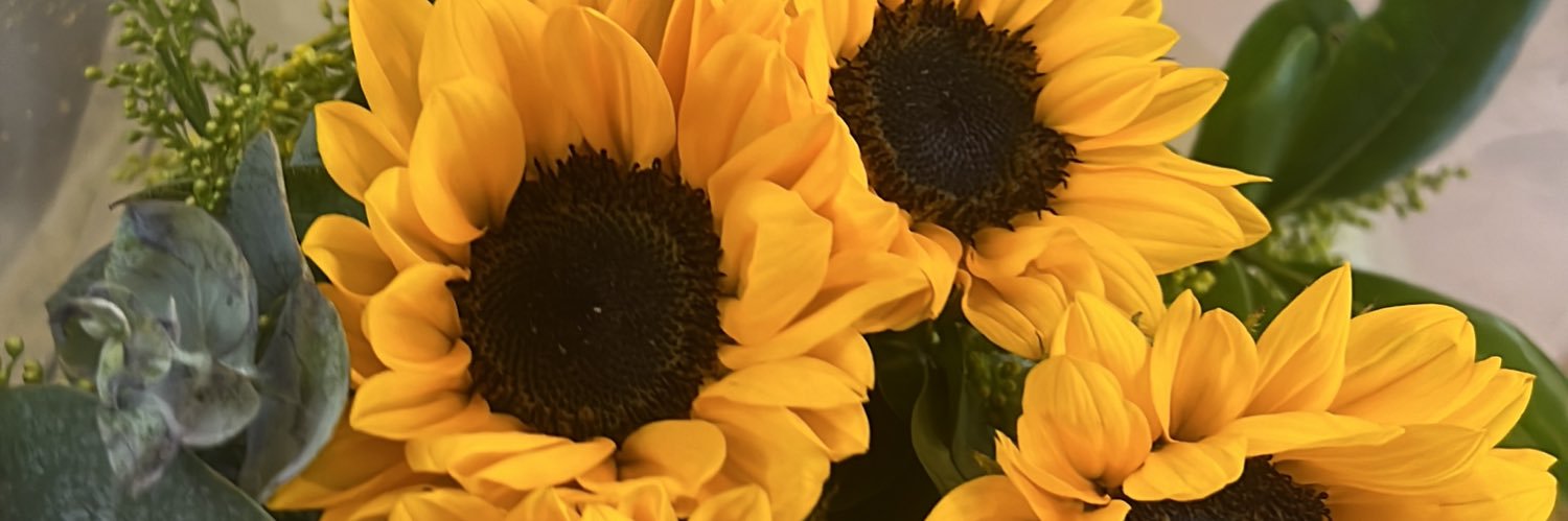 LauCepSan's profile banner image