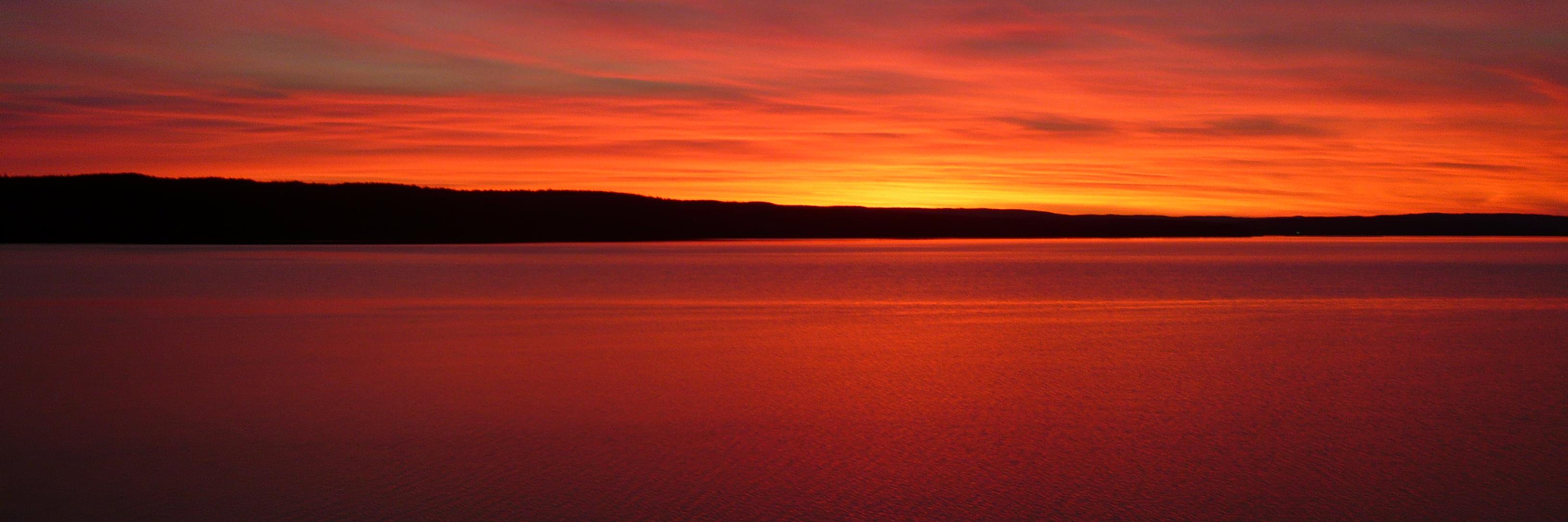 Jasper Meynen banner