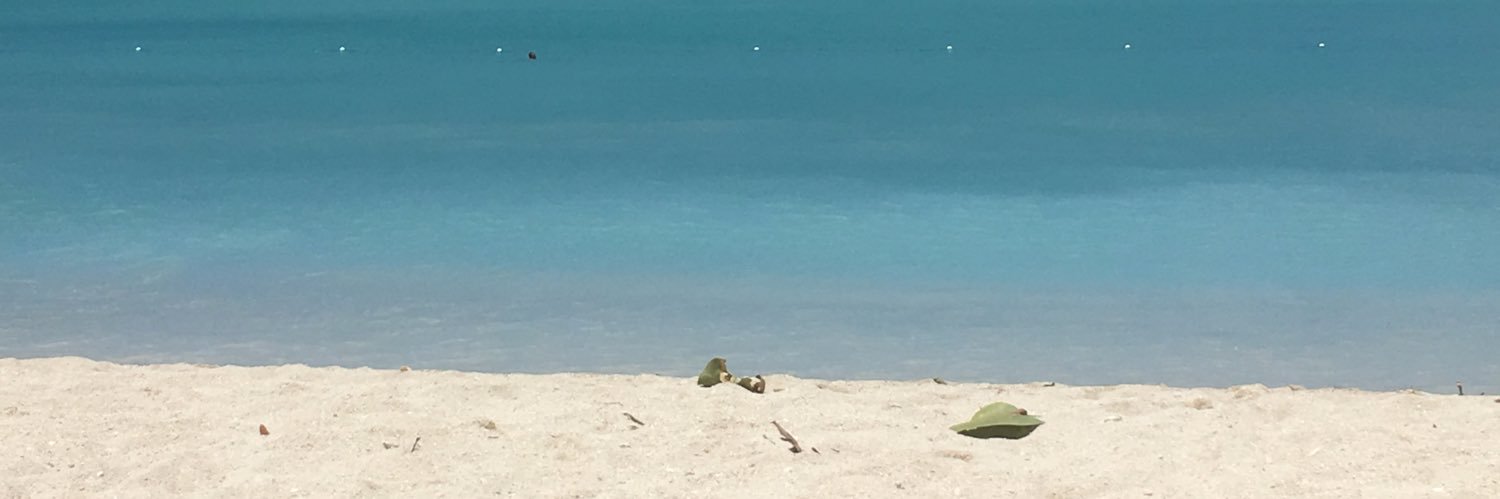 adelehuytonx's profile banner image