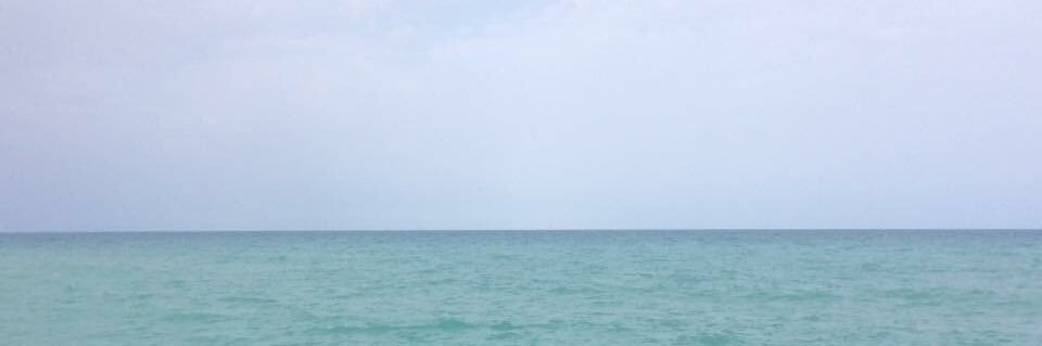 Pablosz banner