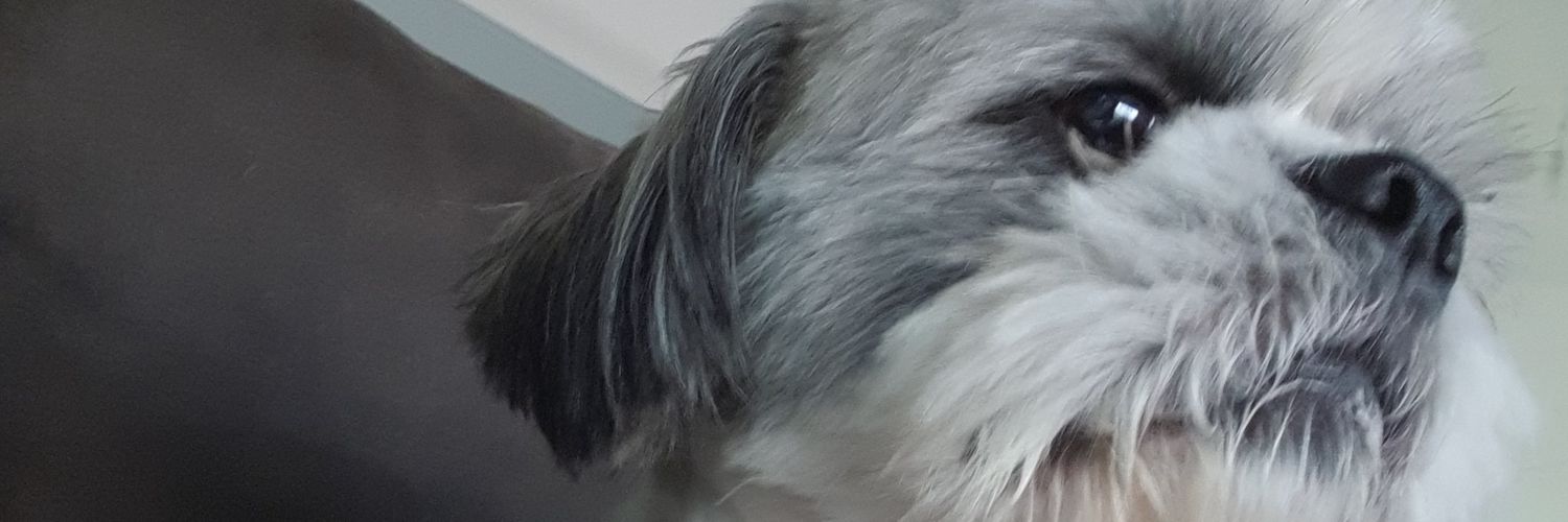 crayistaken's profile banner image