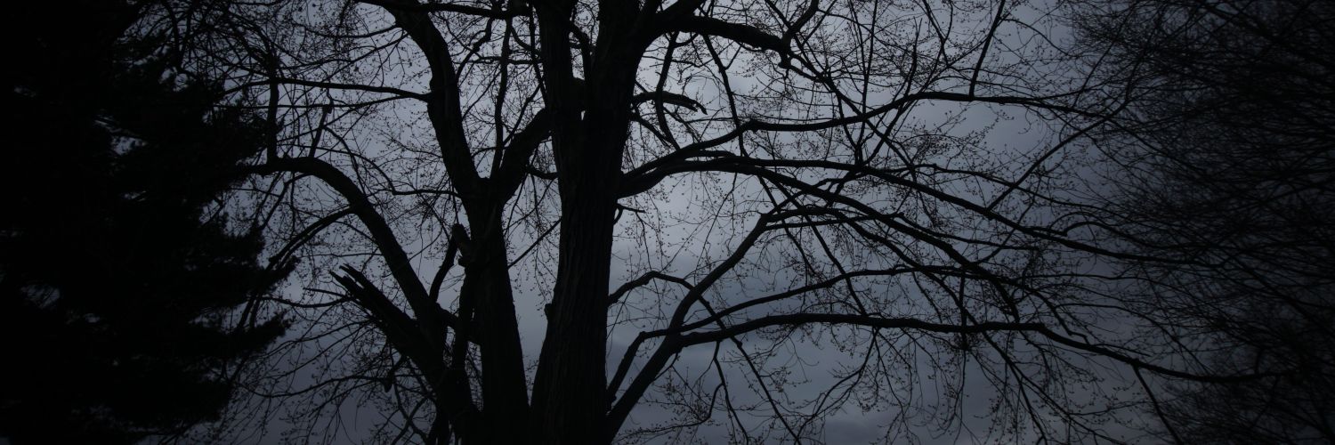 Daniel Rucker banner