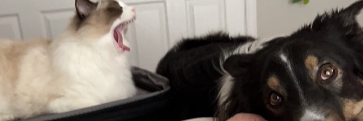 emmersoverit's profile banner image