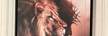 mainefortrump's profile banner image