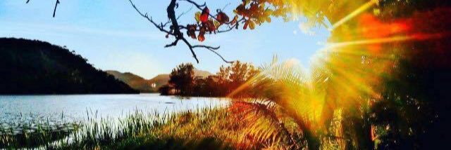 bbp_breno's profile banner image